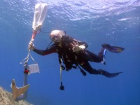 Improve your diving skills with PADI advanced courses and specialties